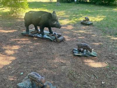 Zdjecie-WhatsApp-2024-06-05-o-14.49.09_b75318e9