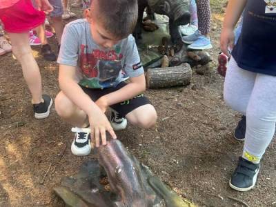 Zdjecie-WhatsApp-2024-06-05-o-14.49.09_d548a42d