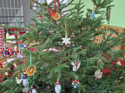 Zdjecie-WhatsApp-2024-12-06-o-20.29.23_91b9e813