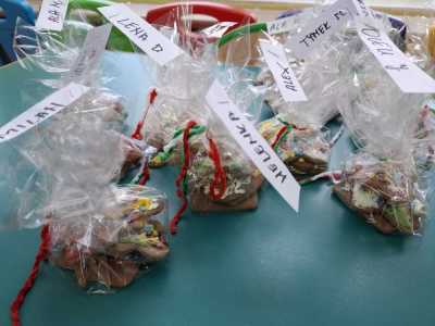 Zdjecie-WhatsApp-2024-12-17-o-07.38.11_7cf0255a