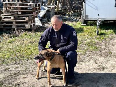 WhatsApp-Image-2026-03-31-at-19.24.49-1