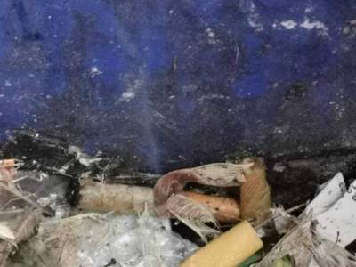 Zdjecie-WhatsApp-2023-12-13-o-20.14.57_ffb566b2