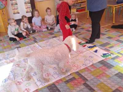 Zdjecie-WhatsApp-2025-10-06-o-20.53.13_a3312099