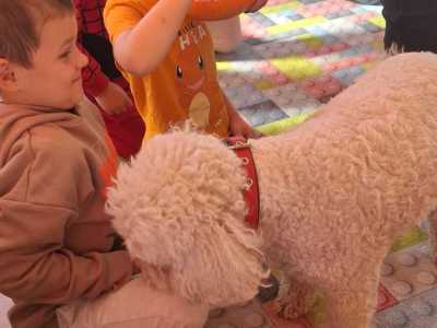 Zdjecie-WhatsApp-2025-10-06-o-20.53.15_4ec9a463