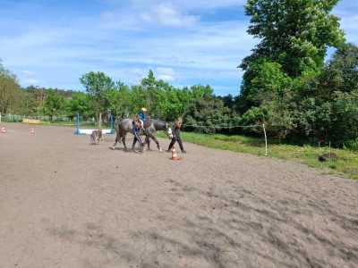 Zdjecie-WhatsApp-2024-05-08-o-15.12.43_206a7953