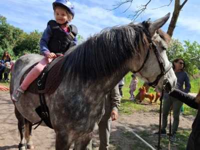 Zdjecie-WhatsApp-2024-05-08-o-15.12.43_dd05e9be