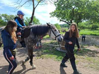 Zdjecie-WhatsApp-2024-05-08-o-15.12.44_a8a029a5