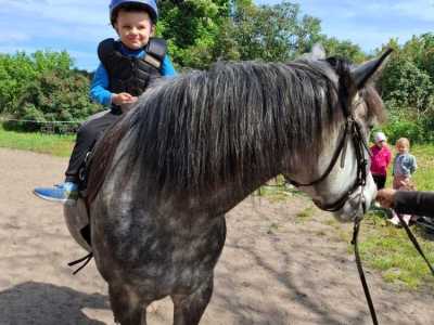 Zdjecie-WhatsApp-2024-05-08-o-15.12.44_e1334f2b