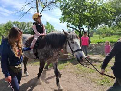 Zdjecie-WhatsApp-2024-05-08-o-15.12.45_130227cc