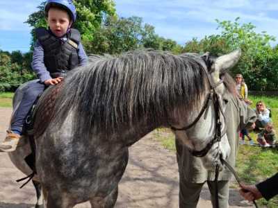 Zdjecie-WhatsApp-2024-05-08-o-15.12.46_08d89b5d