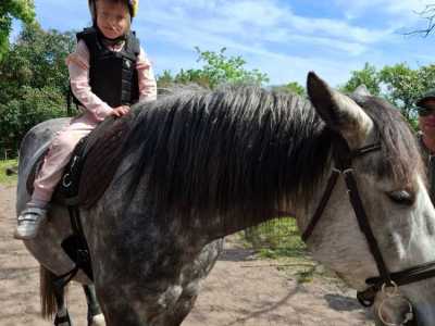 Zdjecie-WhatsApp-2024-05-08-o-15.12.46_f8087cfe