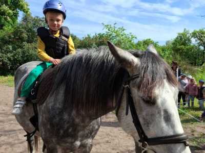 Zdjecie-WhatsApp-2024-05-08-o-15.12.47_dfd30f51