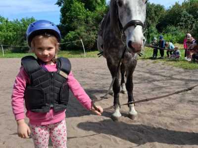 Zdjecie-WhatsApp-2024-05-08-o-15.12.49_20f26511