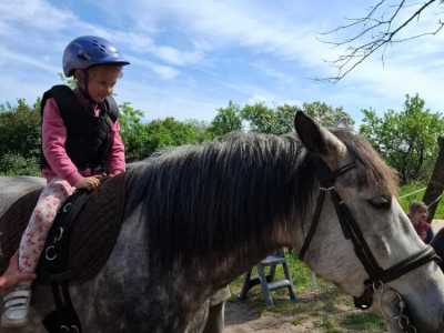 Zdjecie-WhatsApp-2024-05-08-o-15.12.49_6d442aaf