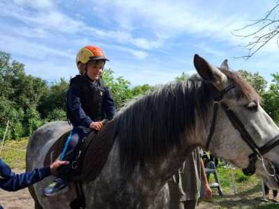 Zdjecie-WhatsApp-2024-05-08-o-15.12.50_23bea2bb