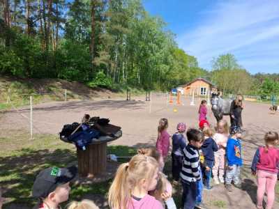 Zdjecie-WhatsApp-2024-05-08-o-15.12.51_1c3333c5