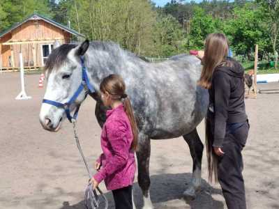 Zdjecie-WhatsApp-2024-05-08-o-15.12.52_5cd598ad