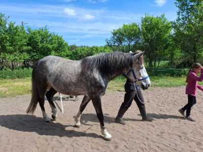 Zdjecie-WhatsApp-2024-05-08-o-15.12.52_c0ac5f5f