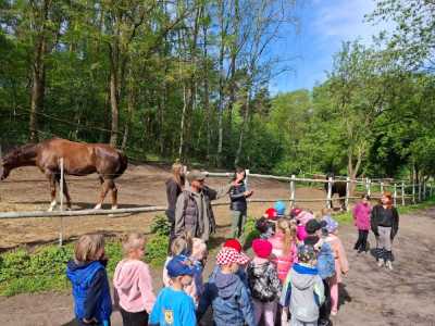 Zdjecie-WhatsApp-2024-05-08-o-15.12.57_1f86daaf