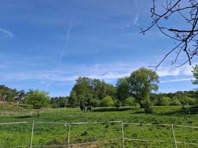 Zdjecie-WhatsApp-2024-05-08-o-15.12.57_2eacc8f2