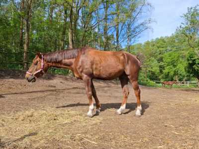 Zdjecie-WhatsApp-2024-05-08-o-15.12.57_ff1f78c4