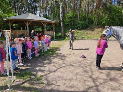 Zdjecie-WhatsApp-2024-05-08-o-15.31.27_26d64f0f