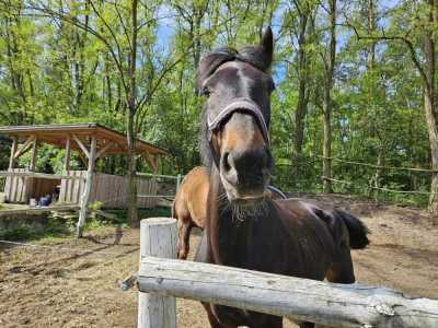 Zdjecie-WhatsApp-2024-05-08-o-15.31.33_af4f2bd8