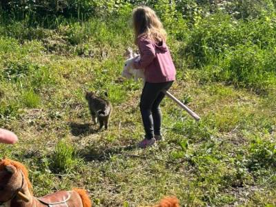 Zdjecie-WhatsApp-2024-05-16-o-06.50.03_760e08b5