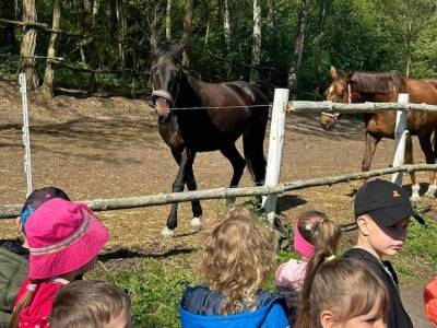 Zdjecie-WhatsApp-2024-05-16-o-06.50.03_817066af