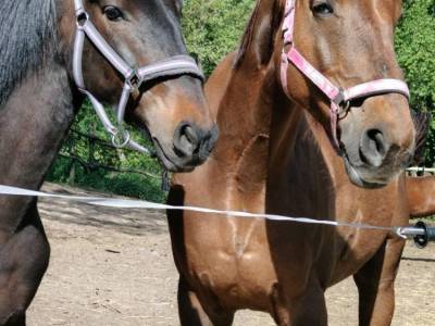 Zdjecie-WhatsApp-2024-05-16-o-06.50.12_710ea668