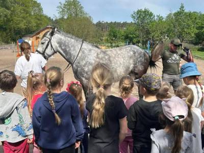 Zdjecie-WhatsApp-2024-05-16-o-06.50.13_443458e3