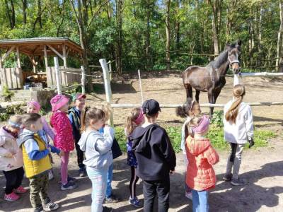 Zdjecie-WhatsApp-2024-05-16-o-06.50.14_212a3c73