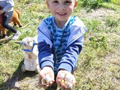 Zdjecie-WhatsApp-2024-05-16-o-06.50.33_dd100a61