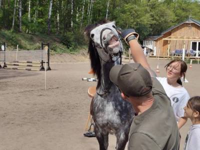 Zdjecie-WhatsApp-2024-05-16-o-06.50.40_a541a2ce