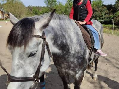 Zdjecie-WhatsApp-2024-05-16-o-06.50.43_c57efa45