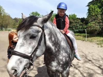 Zdjecie-WhatsApp-2024-05-16-o-06.51.01_7bd71b9c