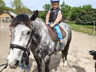 Zdjecie-WhatsApp-2024-05-16-o-06.51.17_74fea90b