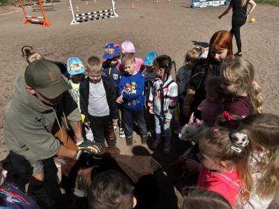 Zdjecie-WhatsApp-2024-05-09-o-13.38.47_4492a23b