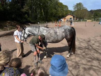 Zdjecie-WhatsApp-2024-05-09-o-13.38.48_b6235e1a