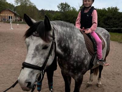 Zdjecie-WhatsApp-2024-05-09-o-13.38.50_3473ca0d