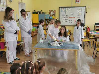 Zdjecie-WhatsApp-2024-03-22-o-11.43.23_dd892d97