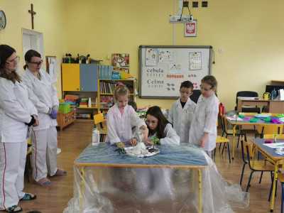 Zdjecie-WhatsApp-2024-03-22-o-11.43.24_58184d3a