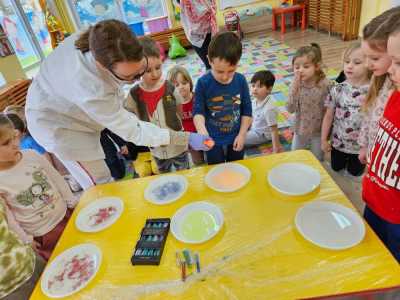 Zdjecie-WhatsApp-2024-03-22-o-15.17.34_dec2ee78