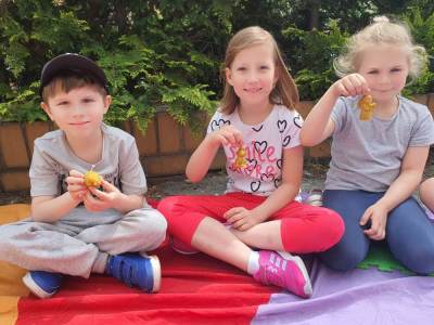 344786805_573163294801097_6963107002611343797_n