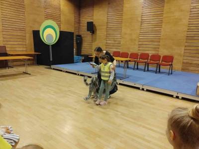 Zdjecie-WhatsApp-2024-04-10-o-10.46.15_0a394ec3