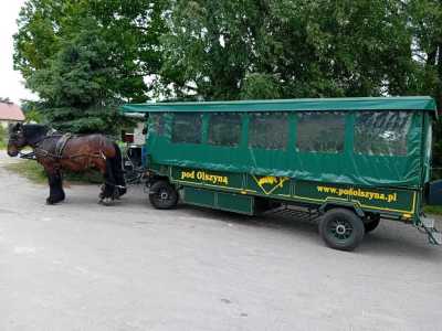 Zdjecie-WhatsApp-2025-05-30-o-14.05.15_35aa7bdb