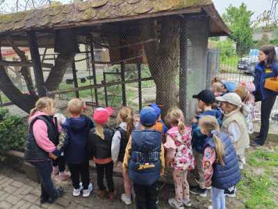 Zdjecie-WhatsApp-2025-05-30-o-14.31.41_337cfad8