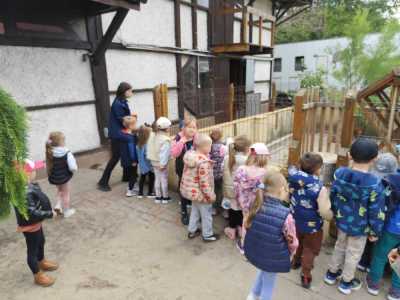 Zdjecie-WhatsApp-2025-05-30-o-14.31.41_d06f766c