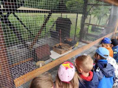 Zdjecie-WhatsApp-2025-05-30-o-14.31.42_02b26190