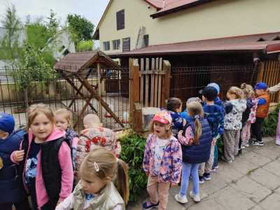 Zdjecie-WhatsApp-2025-05-30-o-14.31.42_5cd03947